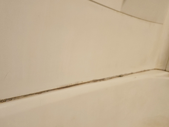 Does your shower look like this?